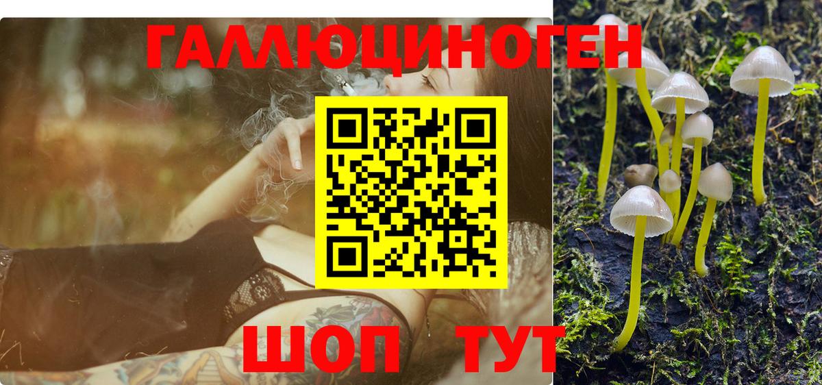 Первоуральск  Галлюциногенные грибы GOLDEN TEACHER  Вход с VPN 